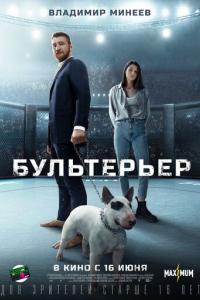 Бультерьер